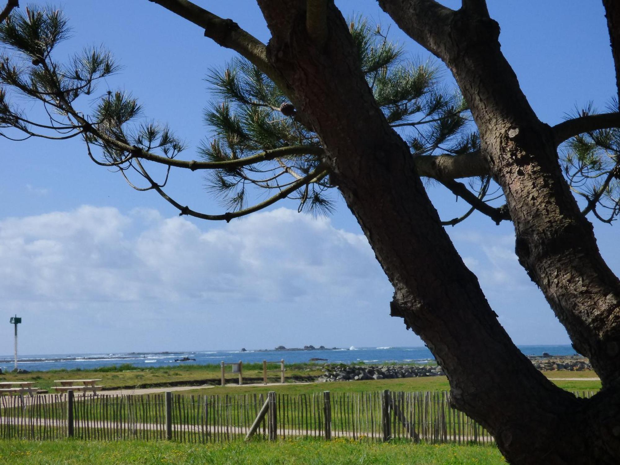 Appart-Studios Vue Mer Panoramique St Guenole Cote Mer Penmarcʼh Værelse billede